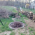 Wilkowiana *