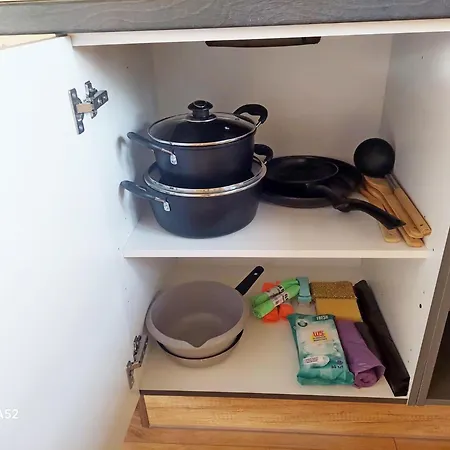 Wilkowiana בקתה *