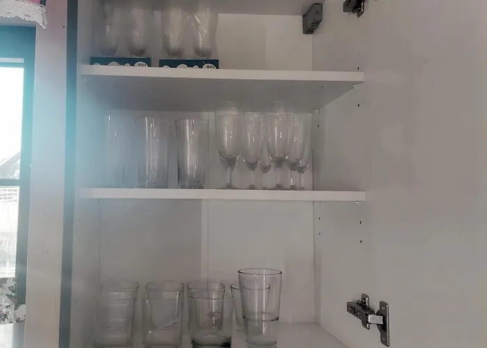 Wilkowiana בקתה *